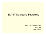 BLAST Database Searching