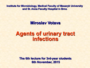 Institute for Microbiology, Medical Faculty of Masaryk