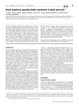 Runx3 negatively regulates Osterix expression in dental pulp cells