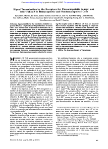 Signal Transduction by the Receptors for Thrombopoietin (c