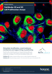 Pathfinder 2D and 3D Cell Proliferation Assays