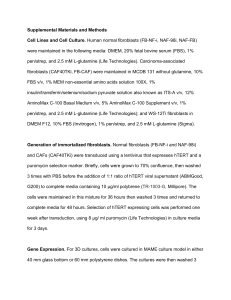 Supplemental Materials and Methods Cell Lines and Cell Culture