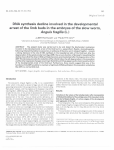 DNA synthesis decline involved in the developmental arrest of the