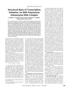Structural Basis of Transcription Initiation: An RNA