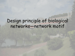 Design principle of biological networks—network motif