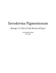 Xeroderma Pigmentosum