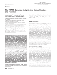 The TRAPP Complex: Insights into its Architecture and