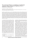 The N-Terminal Region of Arabidopsis