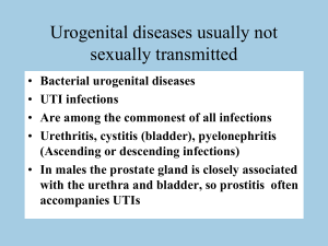 Urogenital diseases usually not sexually transmitted