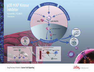 p38 MAP Kinase Inhibitor - Lilly Oncology Pipeline USA