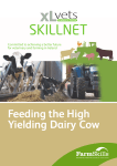 Feeding the High Yielding Dairy Cow