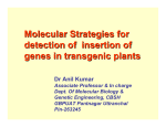 Molecular Strategies for detection of insertion of genes in transgenic