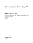 Mammalian Two-Hybrid Assay Kit