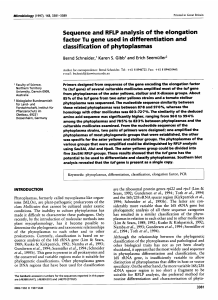 Sequence and RFLP analysis of the elongation factor Tu gene used