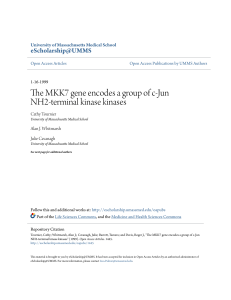 The MKK7 gene encodes a group of c-Jun NH2