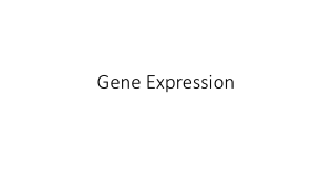 Gene Expression - Manhasset Schools