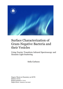 Surface Characterization of Gram-Negative Bacteria