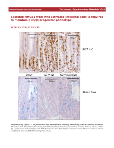 Secreted HMGB1 from Wnt activated intestinal cells is required to