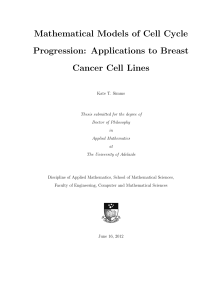 Mathematical Models of Cell Cycle Progression