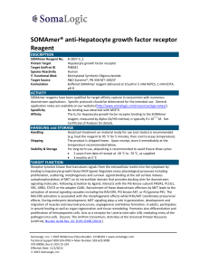 Hepatocyte growth factor receptor B-2837-3_2