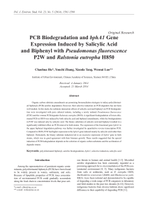 PCB Biodegradation and bphA1 Gene Expression Induced by