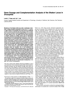 Gene Dosage and Complementation Analysis of the Shaker Locus in