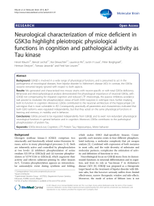 Neurological characterization of mice deficient in GSK3α highlight