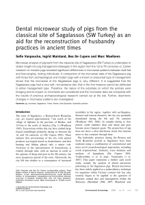 Dental microwear study of pigs from the classical site of Sagalassos