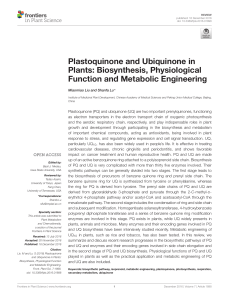 Plastoquinone and Ubiquinone in Plants: Biosynthesis