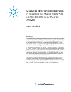 Measuring Mitochondrial Respiration in Intact Skeletal Muscle