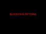 Bloodstain Patterns