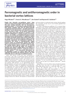 Ferromagnetic and antiferromagnetic order in bacterial vortex lattices