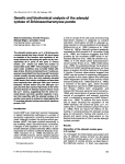 Genetic and biochemical analysis of the adenylyl cyclase of