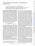 Genes differentially expressed in medulloblastoma and fetal brain