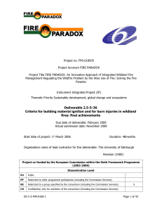 Project no. FP6-018505 Project Acronym FIRE PARADOX Project