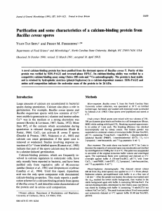 Purification and some characteristics of a calcium