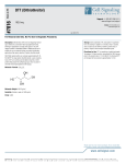 DTT (Dithiothreitol) - Cell Signaling Technology