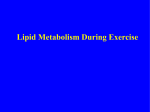 Lipid Metabolism During Exercise