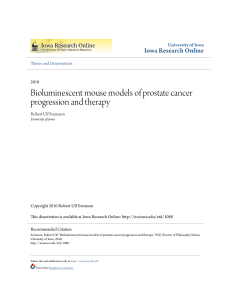 Bioluminescent mouse models of prostate cancer progression and
