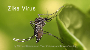 Zika Virus period 9-10