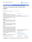 Turnover of human fat cells and their lipid content