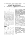 Chromosome location and characterization of genes for grain