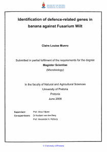 Identification of defence-related genes in banana against Fusarium