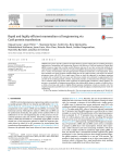 Journal of Biotechnology Rapid and highly efficient mammalian cell