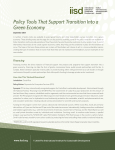 Policy Tools that Support Transition Into a Green Economy: Financing