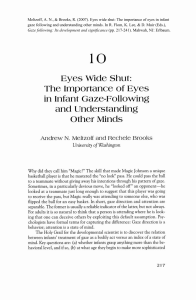 The Importance of Eyes in Infant Gaze
