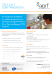 cell line identification