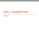 Cell Transport - cloudfront.net