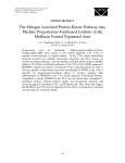 The Mitogen Activated Protein Kinase Pathway may Mediate