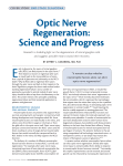 Optic Nerve Regeneration: Science and Progress